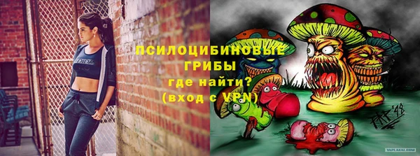 ешки Алексин