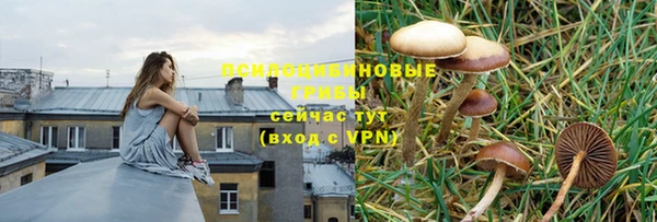 ешки Алексин