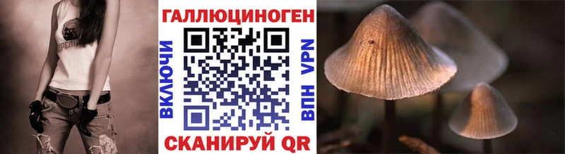 Галлюциногенные грибы Psilocybine cubensis  Аркадак 