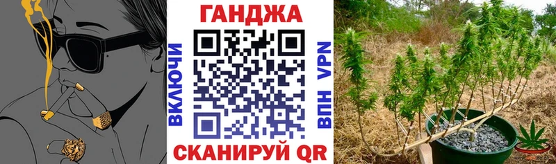 Марихуана гибрид  Аркадак 